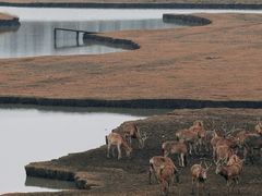 -溱湖国家湿地公园