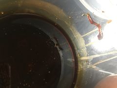 -小六汤包(万和城店)