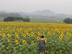 -光明小镇欢乐田园