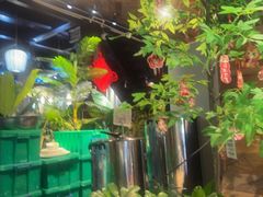 -西塘人家•黑金冠本地好店