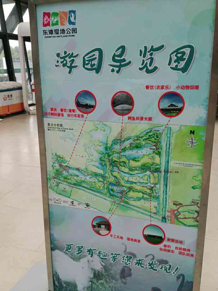 东滩湿地公园-"11月了,是为了观鸟去的,还特意带了个单.