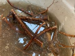 -思远客家菜馆(巴伐利亚店)