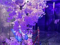 -ALICE PARTY自助式  KTV(松柏路店)