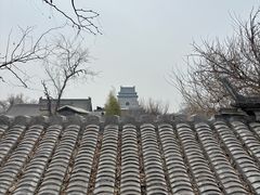 -丽江庭院·云南野生菌·海鲜火锅(鼓楼四合院店)