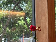 -LOTTA COFFEE(安居博文苑店)