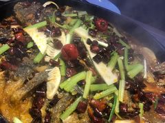 -老板恋上鱼(恒隆广场店)