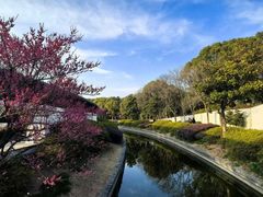 -蠡湖大桥公园