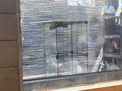 -毛辣果·贵州红酸汤牛肉火锅(西单店)