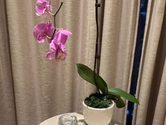 -珠海中海雅高铂尔曼酒店