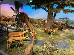 -国家自然博物馆