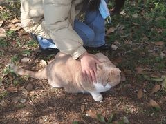 -飞歌e族KTV(雄楚1号店)