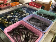 -南沙十九涌渔人码头-南门