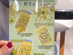 -野萃山·潮汕厚果汁(十亩地店)
