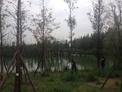 -白鹭湾湿地公园