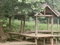 -扬州市茱萸湾风景区