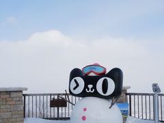 -中旅松花湖滑雪场