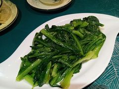 有机油麦菜-鹏馨羊羔肉(新建街店)