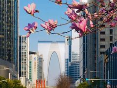 -中海财富中心