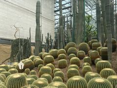 -南山植物园