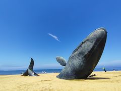 -烟台金沙滩海滨公园