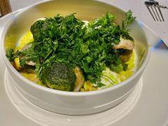 -蝶舍·MAISON PAPILLON