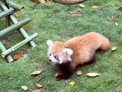 -常州淹城野生动物世界