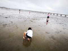 -南汇嘴观海公园