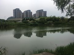 -新江湾城公园