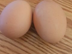 -草窝烤鸭·新京菜(鼓楼店)