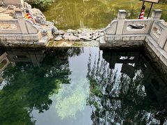 -趵突泉景区