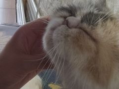 -平行世界·猫咖(首经贸店)