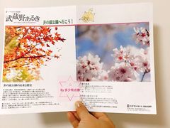 -井之头恩赐公园