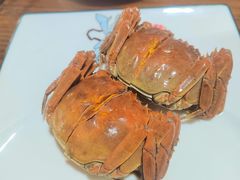 -呼吸森林·生态农庄农家乐私房菜