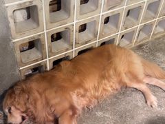 -自由生长植物工作室(深港花卉中心店)