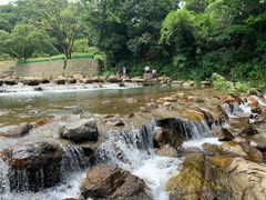 -北仑森林植物园