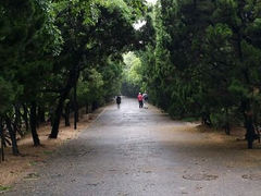 android_upload_pic-八大关景区