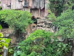 -长鹿旅游休博园