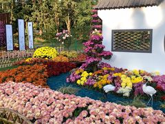 -上海共青森林公园