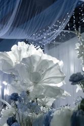 -琥珀婚礼策划AMBER WEDDING