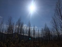 -泸沽湖国家级风景名胜区走婚桥