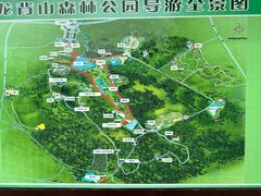 -宜兴龙背山森林公园