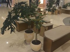 -lululemon(上海浦东IFC店)