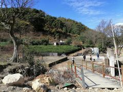 -北仑森林植物园