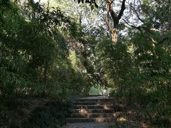 -窨子山古文化遗址