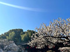 -南园(太仓市)