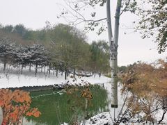 -大兴滨河森林公园