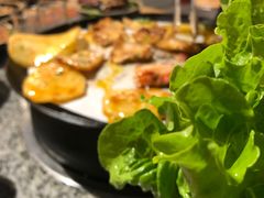 生菜-酒拾烤肉(阳光100店)