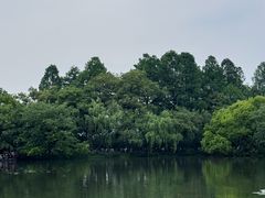 -西湖游船