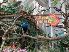 -正佳雨林生态植物园