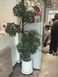 -LJOY丽锦造型·烫发染发